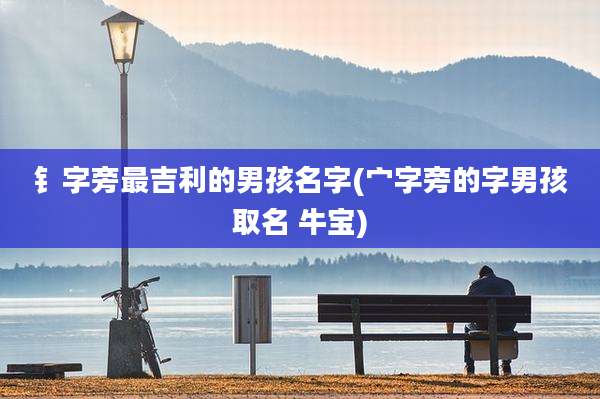 钅字旁最吉利的男孩名字(宀字旁的字男孩取名 牛宝)