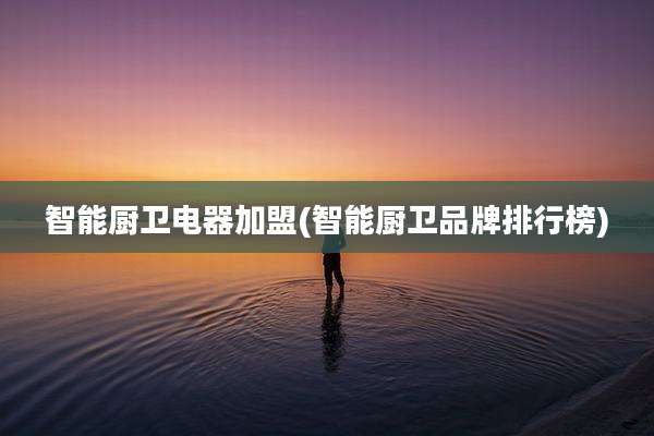 智能厨卫电器加盟(智能厨卫品牌排行榜)
