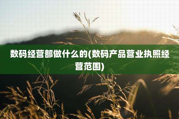 数码经营部做什么的(数码产品营业执照经营范围)
