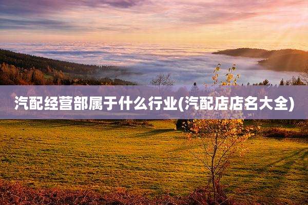 汽配经营部属于什么行业(汽配店店名大全)