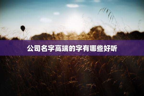 公司名字高端的字有哪些好听