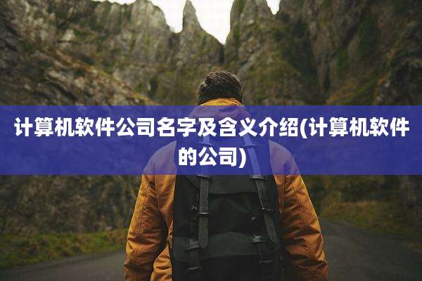 计算机软件公司名字及含义介绍(计算机软件的公司)
