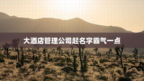 大酒店管理公司起名字霸气一点