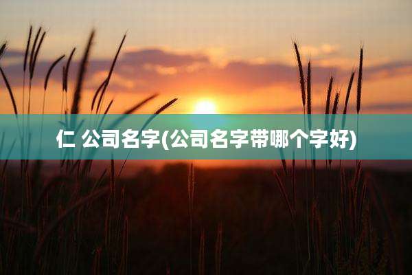 仁 公司名字(公司名字带哪个字好)