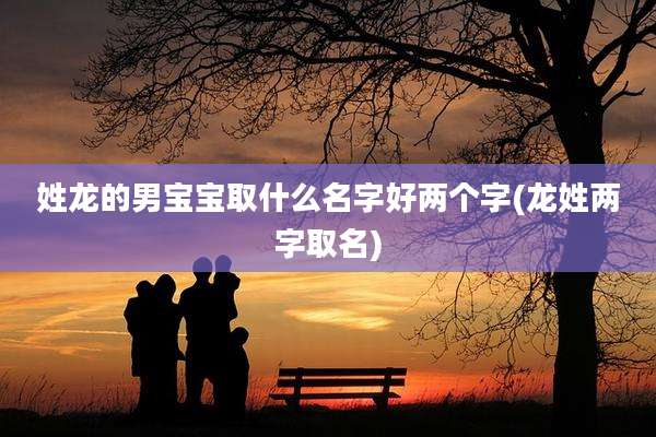 姓龙的男宝宝取什么名字好两个字(龙姓两字取名)
