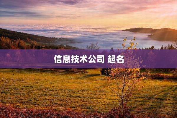 信息技术公司 起名