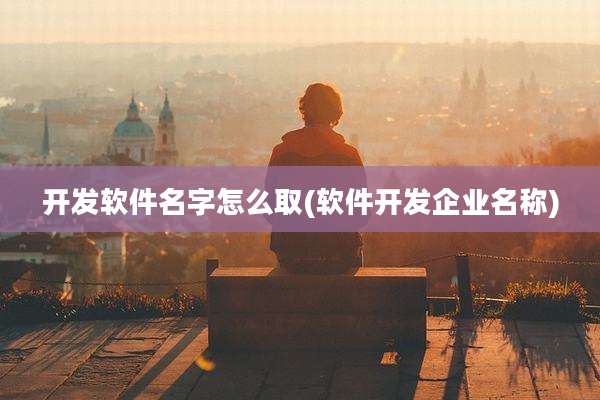 开发软件名字怎么取(软件开发企业名称)