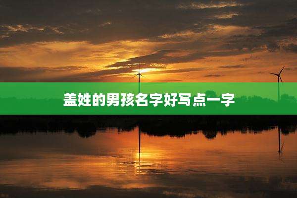 盖姓的男孩名字好写点一字
