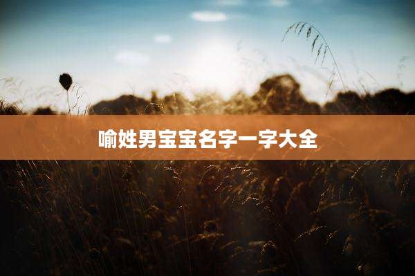 喻姓男宝宝名字一字大全