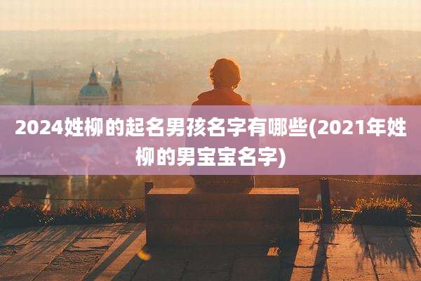 2024姓柳的起名男孩名字有哪些(2021年姓柳的男宝宝名字)