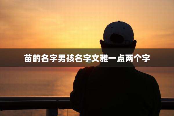 苗的名字男孩名字文雅一点两个字