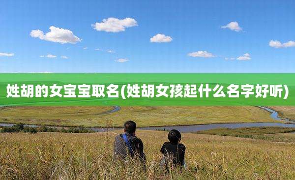 姓胡的女宝宝取名(姓胡女孩起什么名字好听)