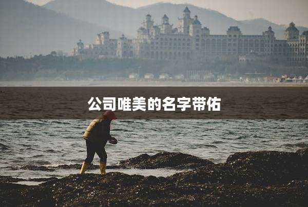 公司唯美的名字带佑