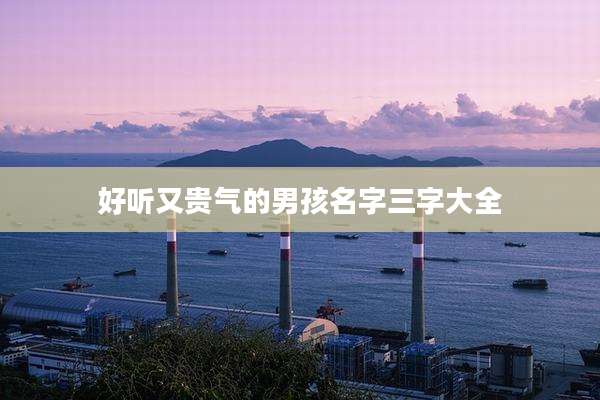 好听又贵气的男孩名字三字大全