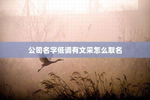 公司名字低调有文采怎么取名