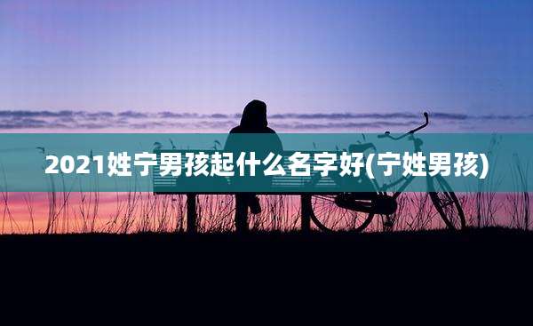 2021姓宁男孩起什么名字好(宁姓男孩)