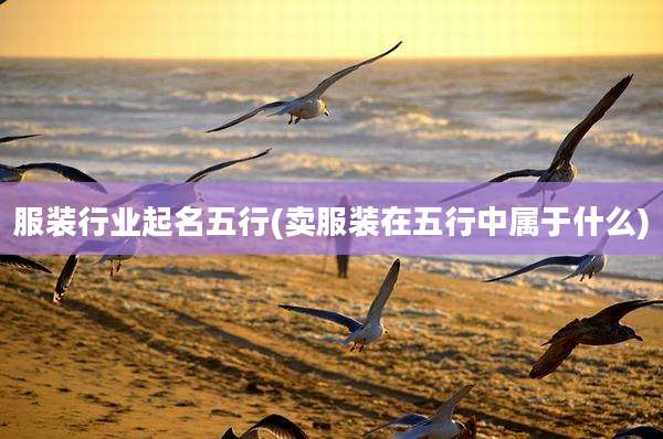 服装行业起名五行(卖服装在五行中属于什么)