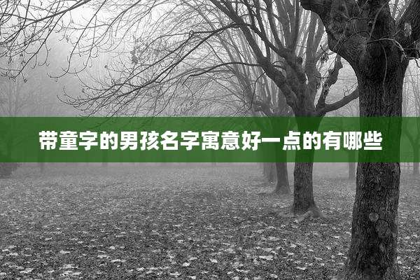 带童字的男孩名字寓意好一点的有哪些