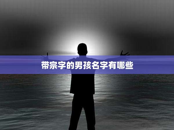 带宗字的男孩名字有哪些