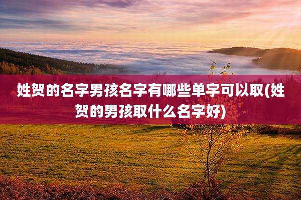 姓贺的名字男孩名字有哪些单字可以取(姓贺的男孩取什么名字好)
