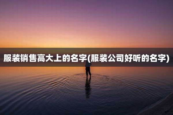 服装销售高大上的名字(服装公司好听的名字)