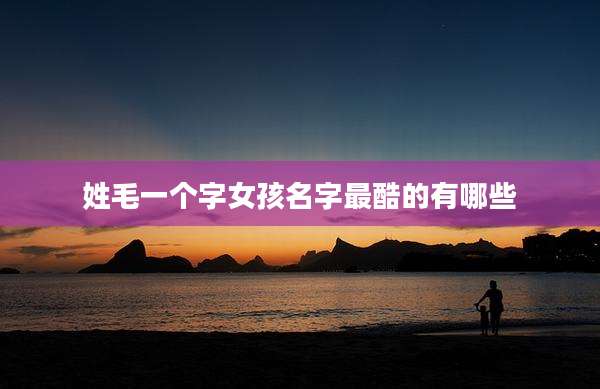 姓毛一个字女孩名字最酷的有哪些