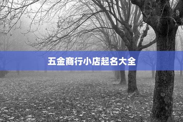 五金商行小店起名大全
