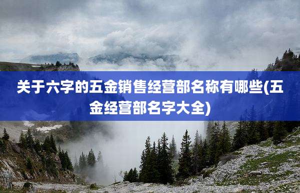 关于六字的五金销售经营部名称有哪些(五金经营部名字大全)