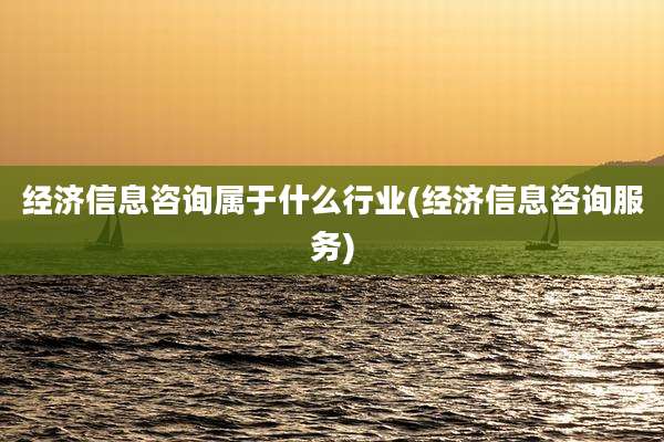 经济信息咨询属于什么行业(经济信息咨询服务)