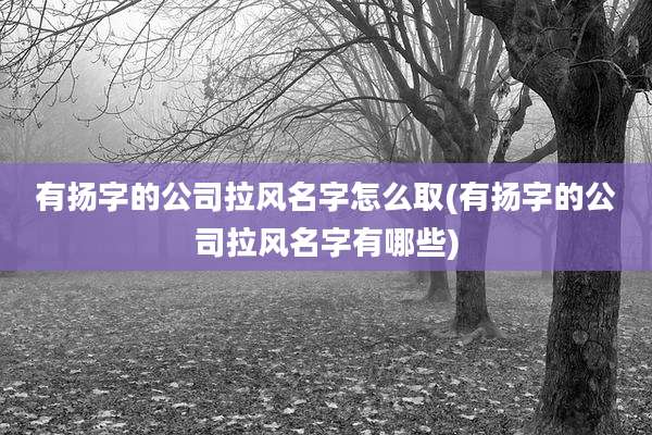 有扬字的公司拉风名字怎么取(有扬字的公司拉风名字有哪些)