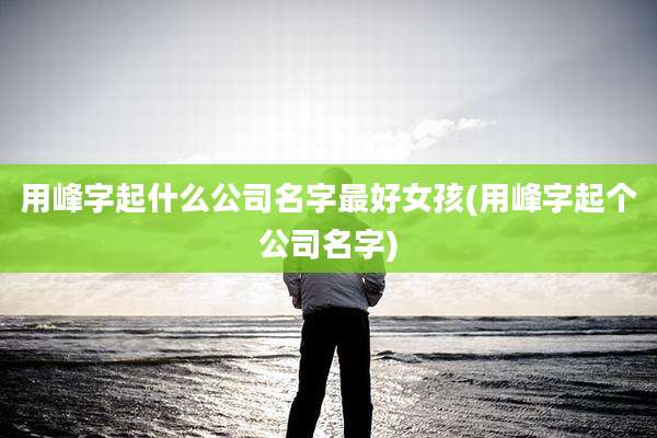 用峰字起什么公司名字最好女孩(用峰字起个公司名字)