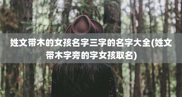 姓文带木的女孩名字三字的名字大全(姓文带木字旁的字女孩取名)