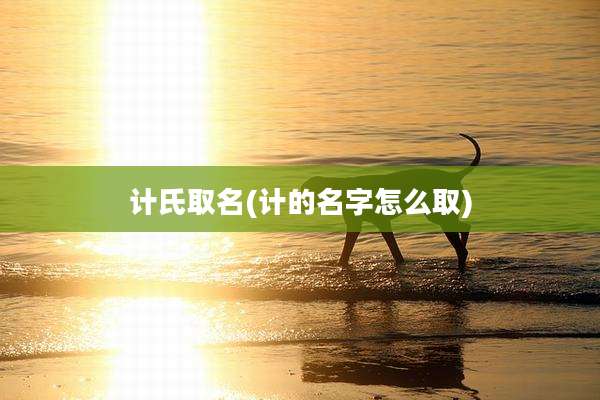 计氏取名(计的名字怎么取)