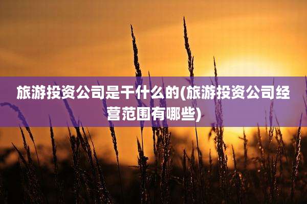 旅游投资公司是干什么的(旅游投资公司经营范围有哪些)