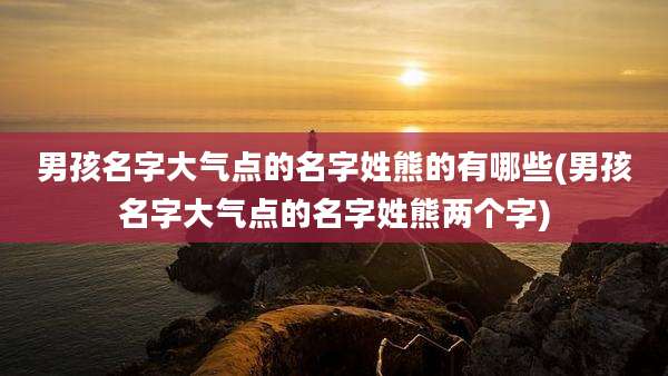 男孩名字大气点的名字姓熊的有哪些(男孩名字大气点的名字姓熊两个字)