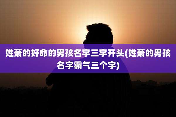 姓萧的好命的男孩名字三字开头(姓萧的男孩名字霸气三个字)