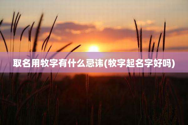 取名用牧字有什么忌讳(牧字起名字好吗)