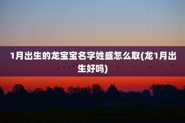 1月出生的龙宝宝名字姓盛怎么取(龙1月出生好吗)