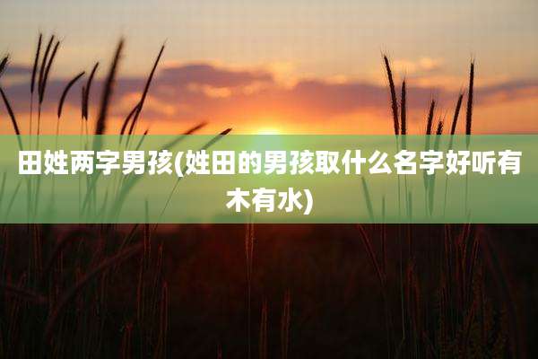 田姓两字男孩(姓田的男孩取什么名字好听有木有水)