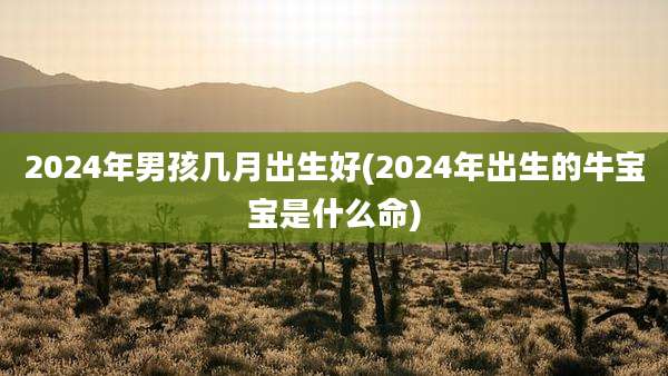 2024年男孩几月出生好(2024年出生的牛宝宝是什么命)