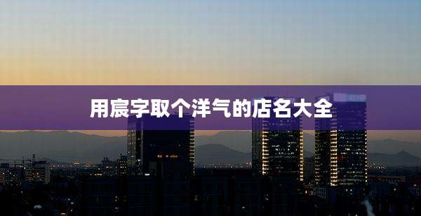 用宸字取个洋气的店名大全