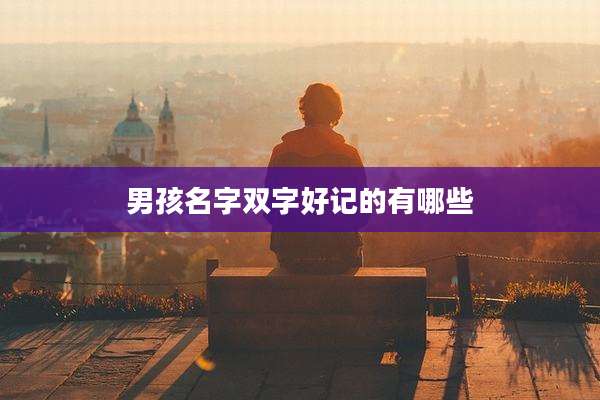 男孩名字双字好记的有哪些