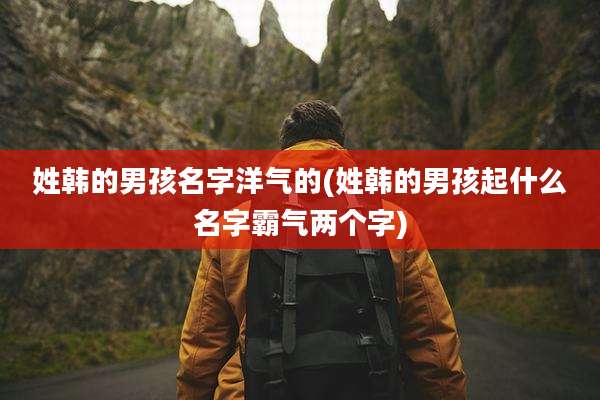 姓韩的男孩名字洋气的(姓韩的男孩起什么名字霸气两个字)
