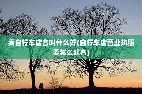 卖自行车店名叫什么好(自行车店营业执照要怎么起名)