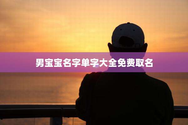 男宝宝名字单字大全免费取名