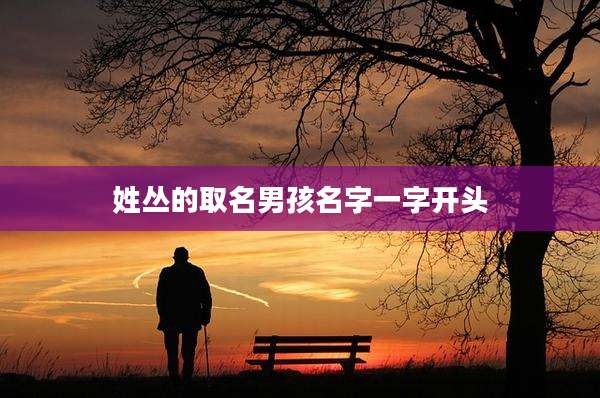 姓丛的取名男孩名字一字开头