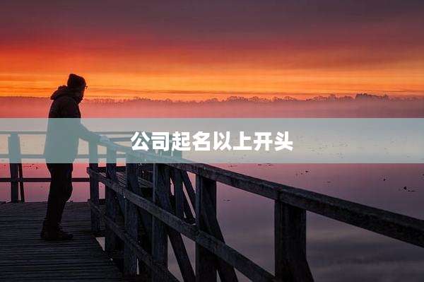 公司起名以上开头