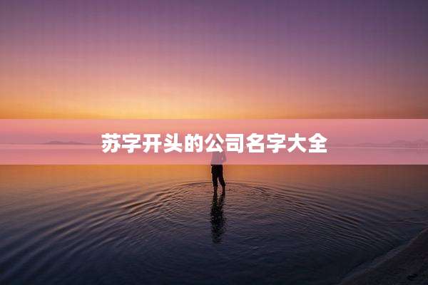 苏字开头的公司名字大全