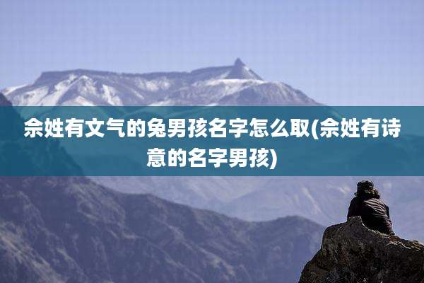 佘姓有文气的兔男孩名字怎么取(佘姓有诗意的名字男孩)
