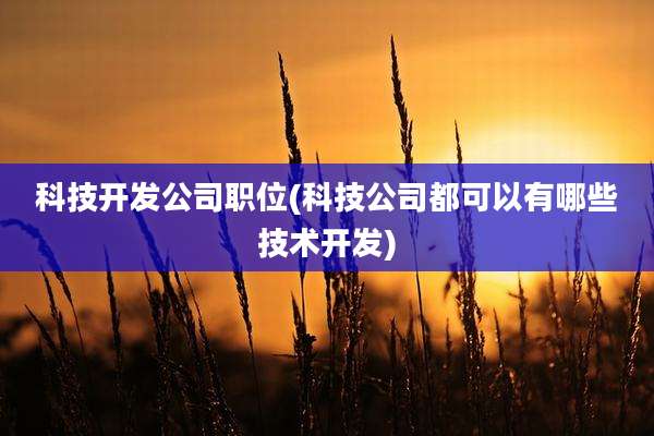 科技开发公司职位(科技公司都可以有哪些技术开发)